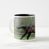 PferdeThoroughbreds, Wassl 1988, Zweifarbige Tasse (Vorderseite Links)