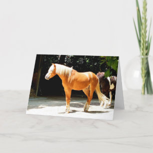 Pferdetier Palomino Feiertagskarte