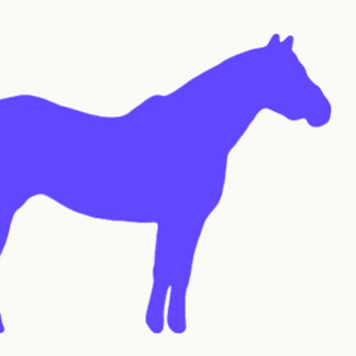 Pferdetrainer-Geschäft Blau Einfach und Modern Visitenkarte