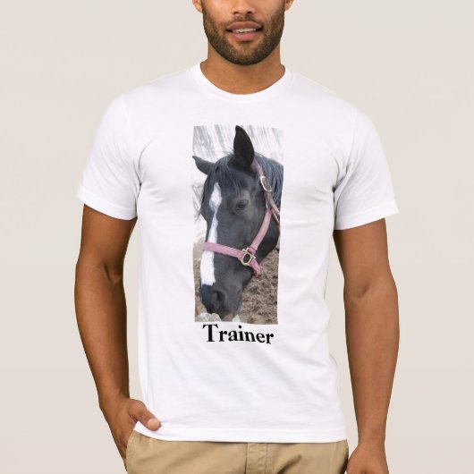 Pferdetrainer/Paint Pinto ... T-Shirt (Vorderseite)