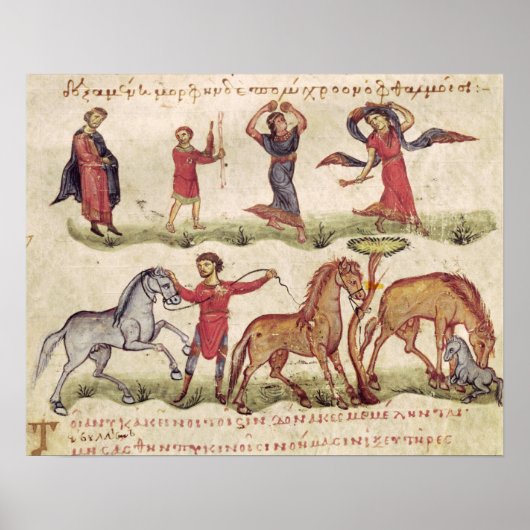 Pferdetrainer Poster (Vorne)