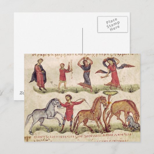 Pferdetrainer Postkarte (Vorne/Hinten)