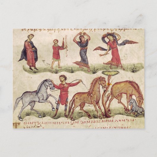 Pferdetrainer Postkarte (Vorderseite)