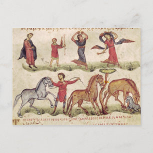 Pferdetrainer Postkarte