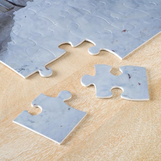 Pferdetransport im Central Park New York. Puzzle (Seite)