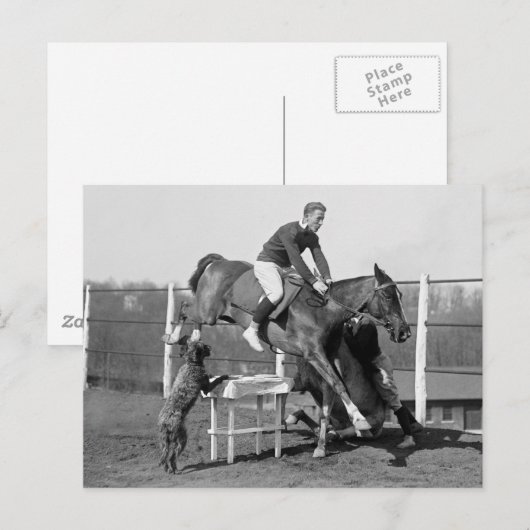 Pferdetricks, 1929 postkarte (Vorne/Hinten)