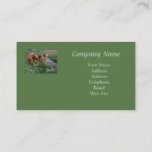 Pferdetrio-Visitenkarte Visitenkarte (Rückseite)