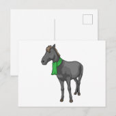 Pferdetuch Postkarte (Vorne/Hinten)