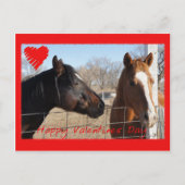 PferdeValentinsgruß VI Feiertagspostkarte (Vorderseite)