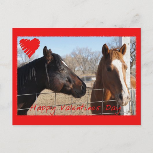 PferdeValentinsgruß VI Feiertagspostkarte (Vorderseite)