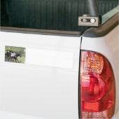 PferdEventing Autoaufkleber (Auf Lkw)