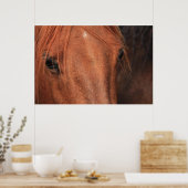 Pferdeverborge Poster (Küche)