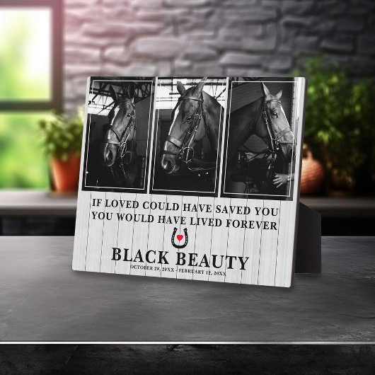 Pferdeverlust | Foto-Gedenkstätte für Pferde 3 Fotoplatte