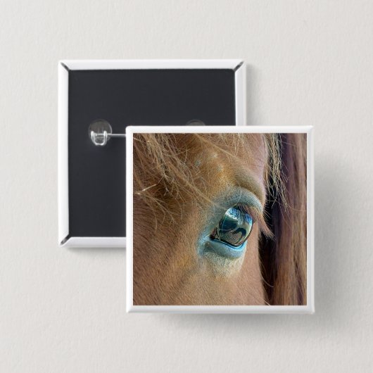 Pferdevision Button (Vorne & Hinten)