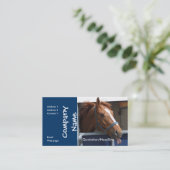 PferdeVisitenkarte Visitenkarte (Stehend Vorderseite)