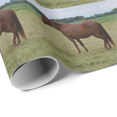 Pferdewackelpapier Geschenkpapier (Rolleneckpunkt)