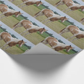 Pferdewackelpapier Geschenkpapier (Ecke)