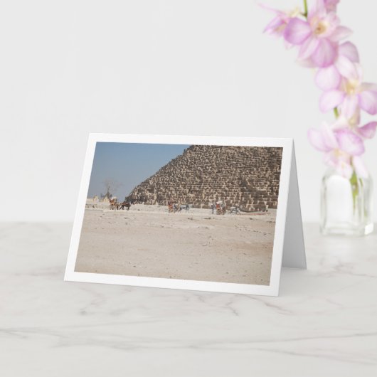 Pferdewagen in Gizeh, Kairo Karte (Orchidee)