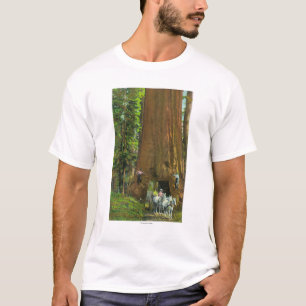 Pferdewagen unter einem riesigen Rotholz T-Shirt