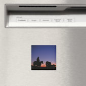 Pferdewagenzug Magnet (In Situ (Geschirrspüler))