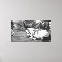 Pferdewall Art Schwarz-Weiß-Foto