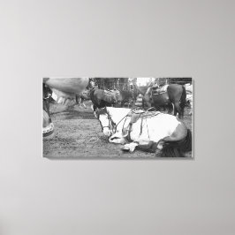 Pferdewall Art Schwarz-Weiß-Foto Leinwanddruck