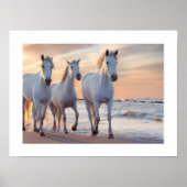 Pferdewanddedekor Poster (Vorne)