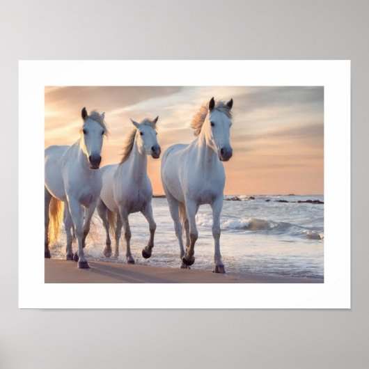 Pferdewanddedekor Poster (Vorne)