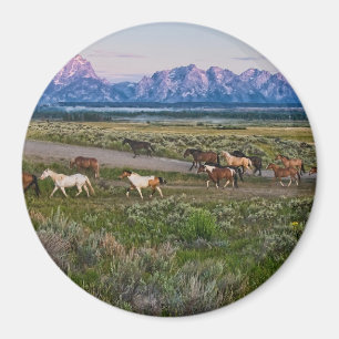 Pferdewanderung Magnet