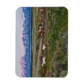 Pferdewanderung Magnet (Vertikal)