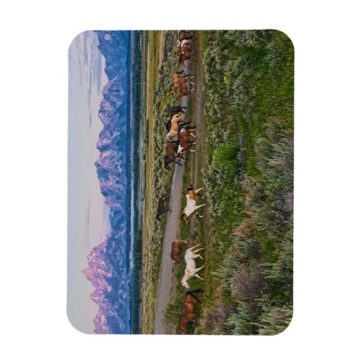 Pferdewanderung Magnet (Vertikal)