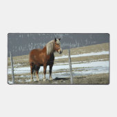 Pferdewanderung nach Belgien in Paddock Schreibtischunterlage (Vorderseite)