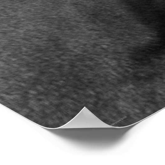 Pferdewapcn Poster (Ecke)