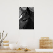 Pferdewapcn Poster (Küche)