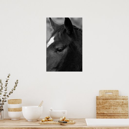 Pferdewapcn Poster (Küche)