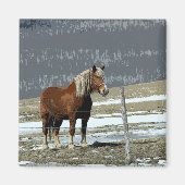 Pferdewechsel in Paddock Magnet (Vorne)