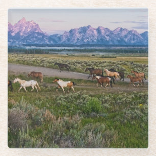 Pferdeweg Glasuntersetzer