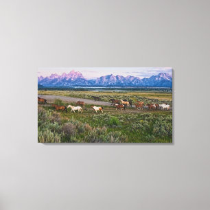 Pferdeweg Leinwanddruck