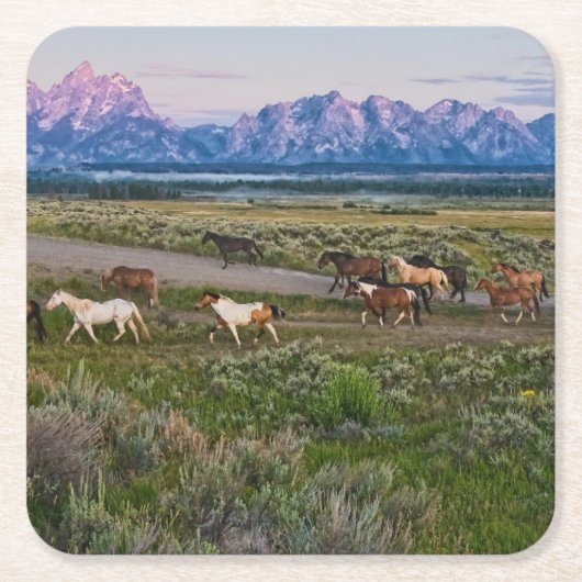 Pferdeweg Rechteckiger Pappuntersetzer (Vorderseite)