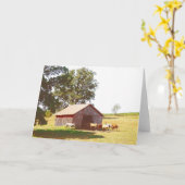 Pferdeweide 4 karte (Gelbe Blume)