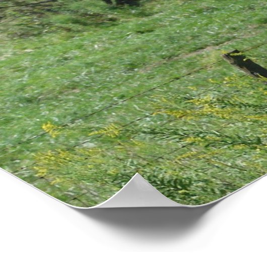 Pferdeweide Poster (Ecke)