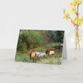Pferdeweide zum Geburtstag Karte (Gelbe Blume)