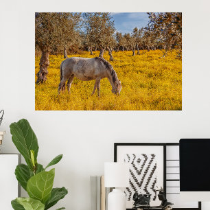 Pferdeweiden auf einer gelben Blumenwiese Fotodruck