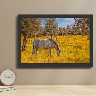 Pferdeweiden auf einer gelben Blumenwiese Poster