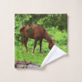 Pferdeweiden Badhandtuch Set (Waschlappen)