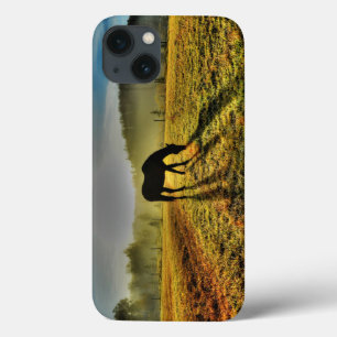 Pferdeweiden bei Sonnenaufgang im Foto des Misty F Case-Mate iPhone Hülle
