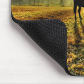Pferdeweiden bei Sonnenaufgang im Foto des Misty F Mousepad (Ecke)