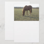 Pferdeweiden Briefpapier (Vorne/Hinten)