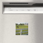 Pferdeweiden im landwirtschaftlichen Betrieb Magnet (In Situ (Geschirrspüler))