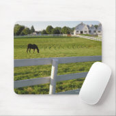 Pferdeweiden im landwirtschaftlichen Betrieb Mousepad (Mit Mouse)